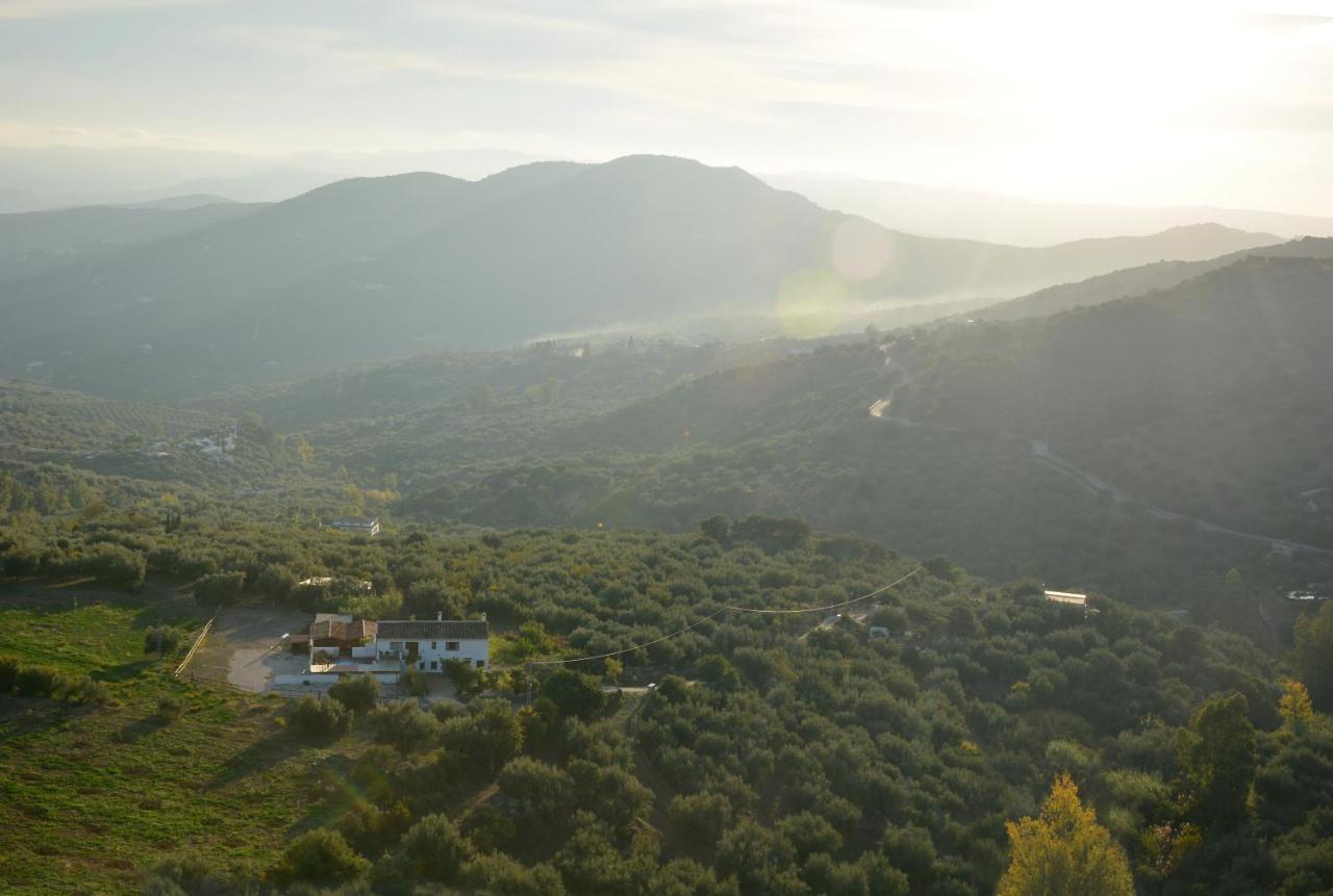 Casa La Negra Βίλα Periana Εξωτερικό φωτογραφία